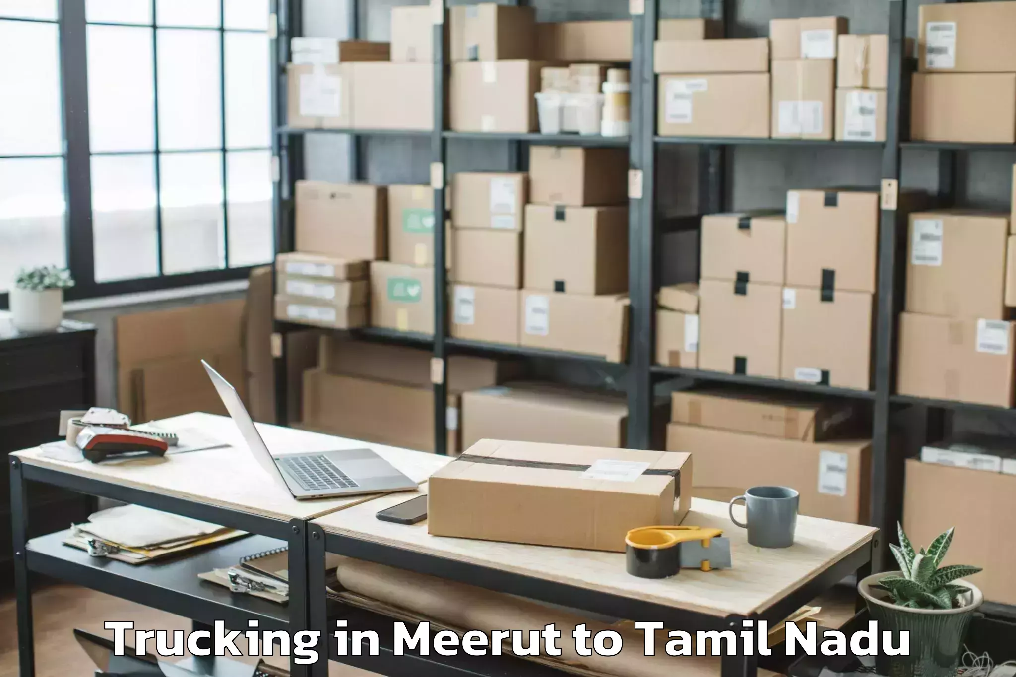 Leading Meerut to Vellanur Trucking Provider